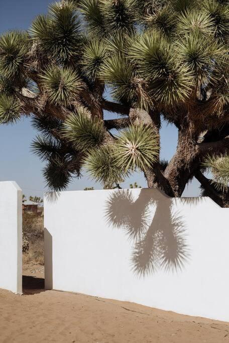 Le Chacuel Villa Joshua Tree Exterior photo